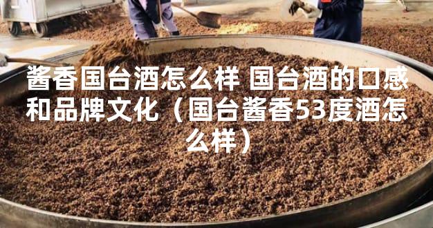 酱香国台酒怎么样 国台酒的口感和品牌文化（国台酱香53度酒怎么样）